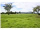 Tenterfield NSW 2372