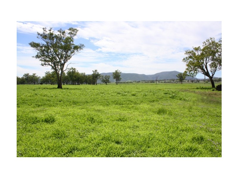 Tenterfield NSW 2372