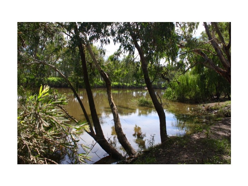 Tenterfield NSW 2372