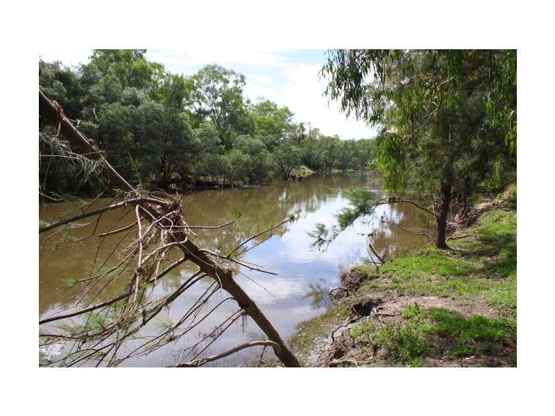 Tenterfield NSW 2372