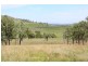 Tenterfield NSW 2372