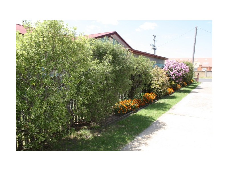 Tenterfield NSW 2372