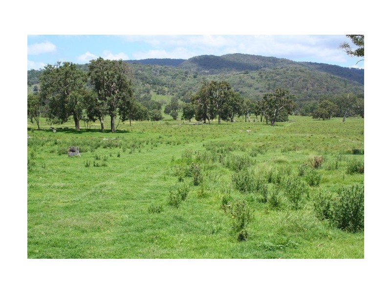 Tenterfield NSW 2372