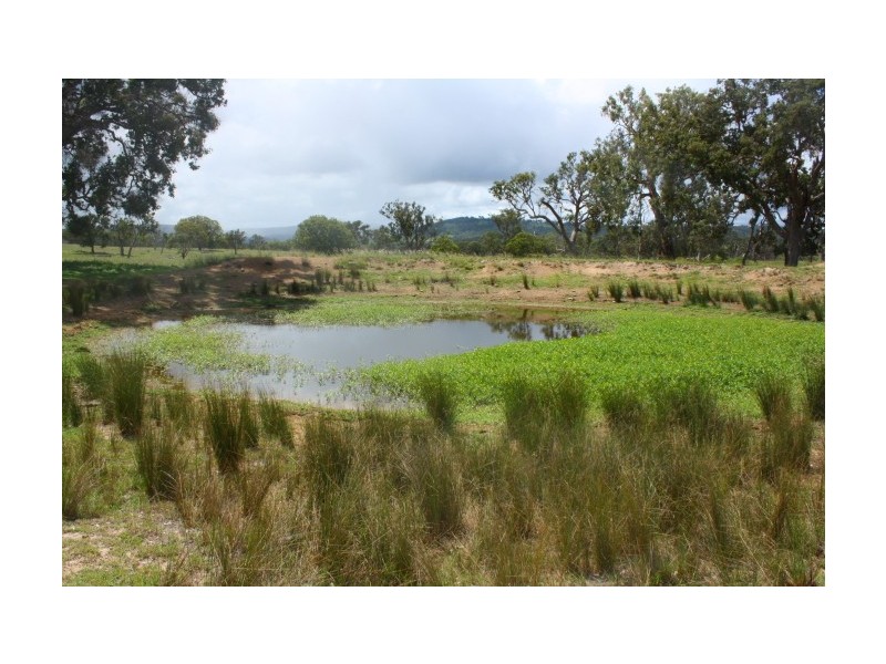 Tenterfield NSW 2372