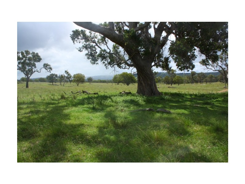 Tenterfield NSW 2372