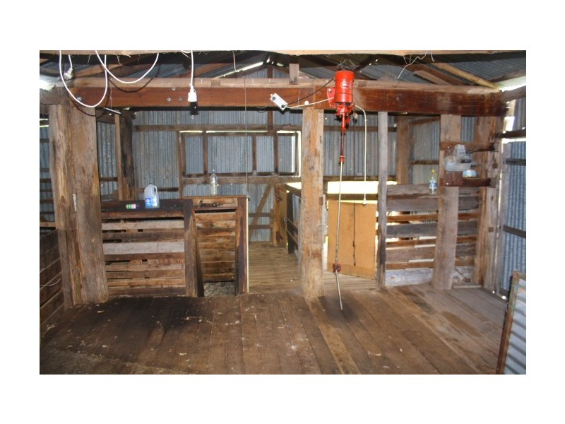 Tenterfield NSW 2372