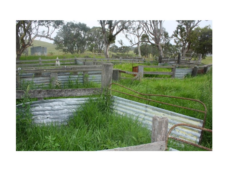 Tenterfield NSW 2372