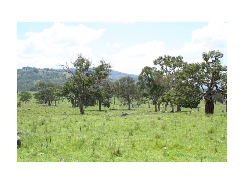 Tenterfield NSW 2372