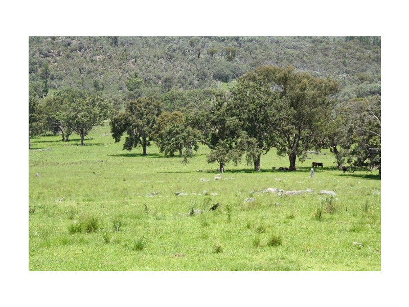 Tenterfield NSW 2372