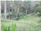 Drake NSW 2469