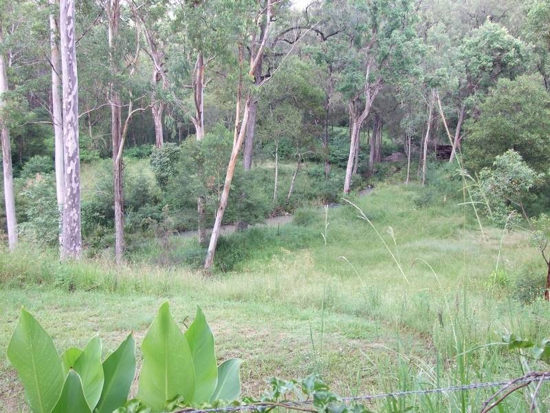 Drake NSW 2469
