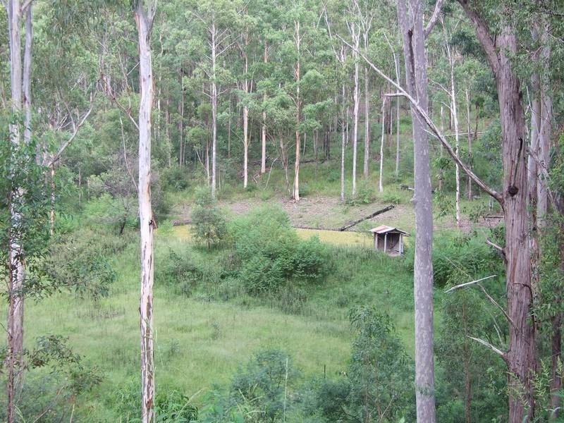 Drake NSW 2469
