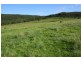 Tenterfield NSW 2372