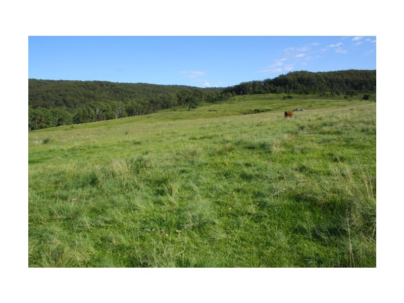 Tenterfield NSW 2372