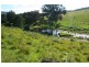 Tenterfield NSW 2372