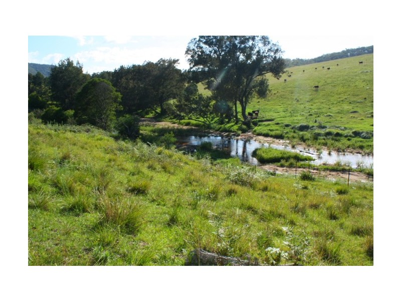 Tenterfield NSW 2372