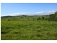Tenterfield NSW 2372