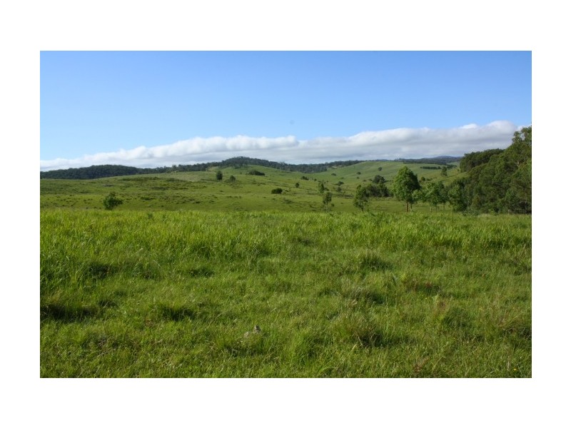 Tenterfield NSW 2372