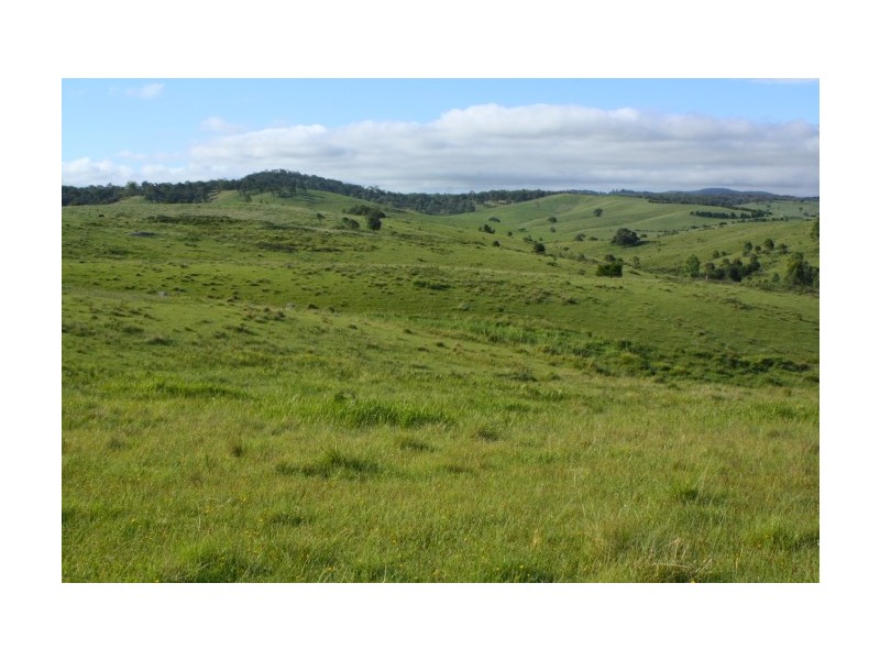 Tenterfield NSW 2372