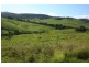 Tenterfield NSW 2372