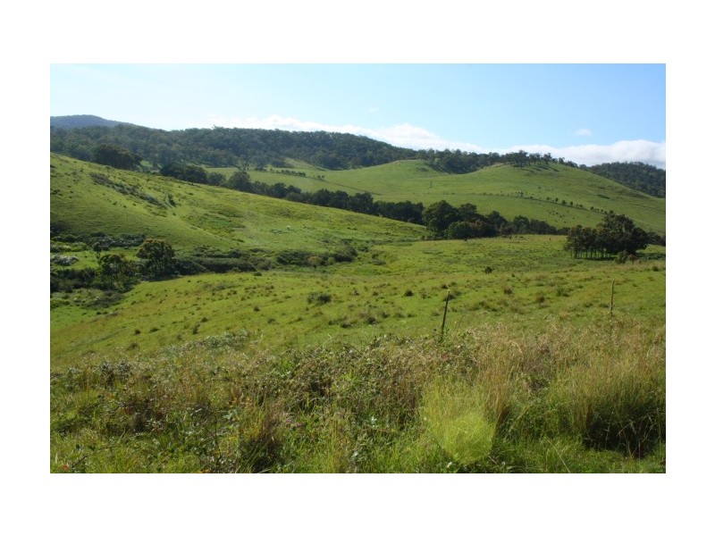 Tenterfield NSW 2372