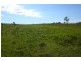 Tenterfield NSW 2372