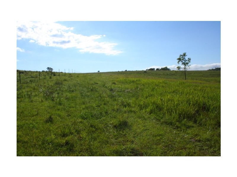 Tenterfield NSW 2372