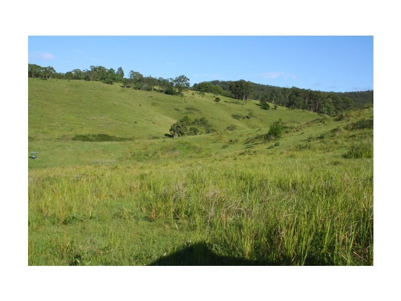 Tenterfield NSW 2372