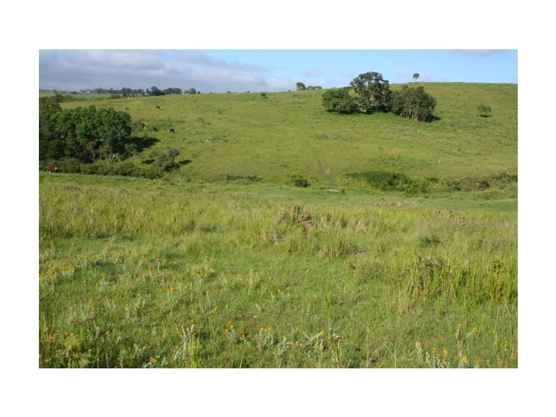 Tenterfield NSW 2372