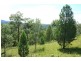 Tenterfield NSW 2372