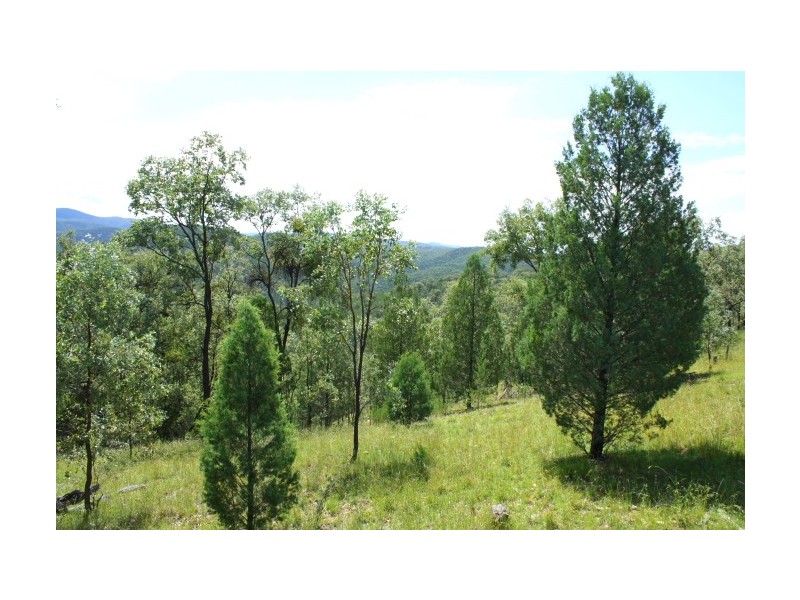 Tenterfield NSW 2372