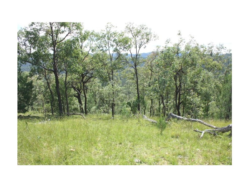 Tenterfield NSW 2372