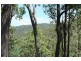 Tenterfield NSW 2372