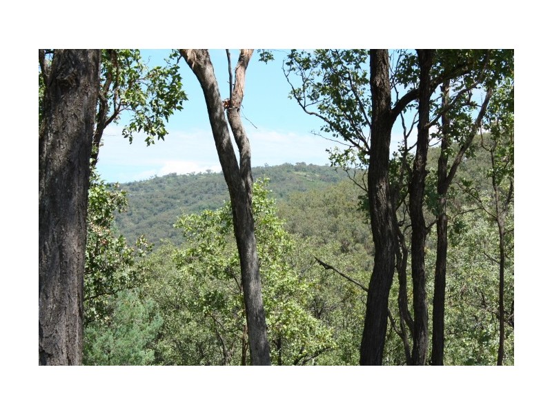 Tenterfield NSW 2372
