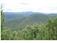 Tenterfield NSW 2372