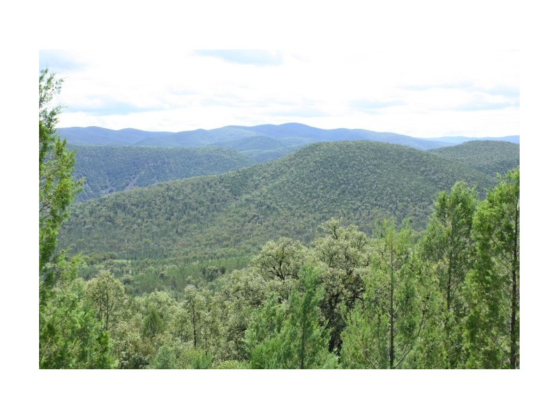 Tenterfield NSW 2372