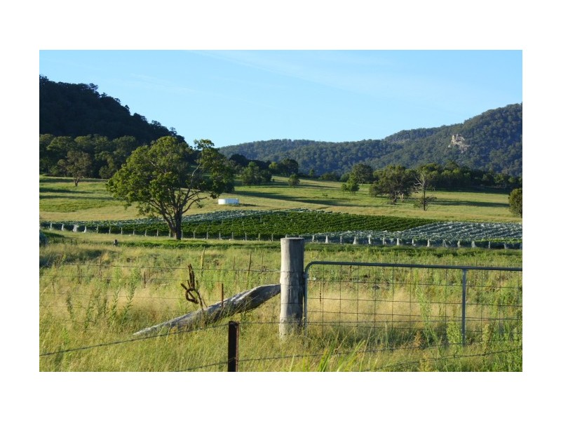 Tenterfield NSW 2372