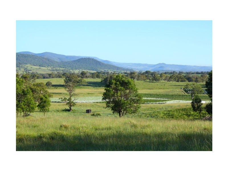 Tenterfield NSW 2372