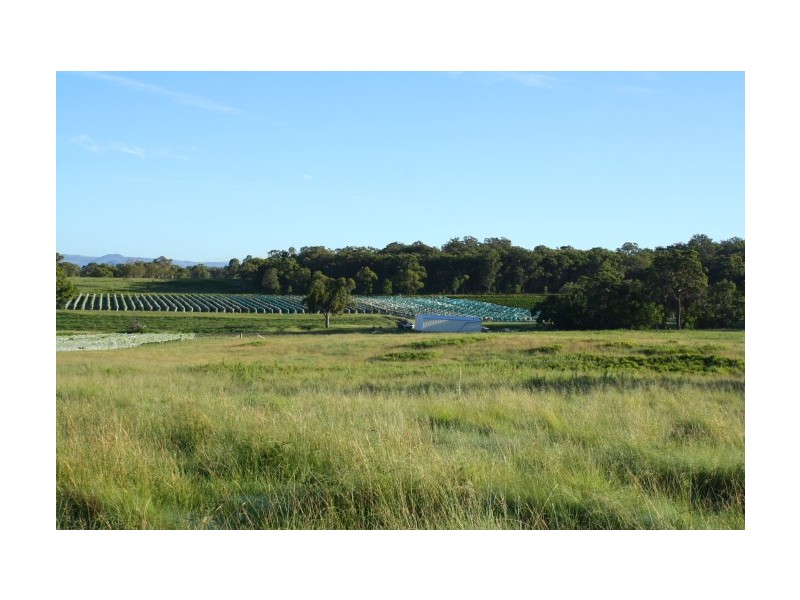 Tenterfield NSW 2372