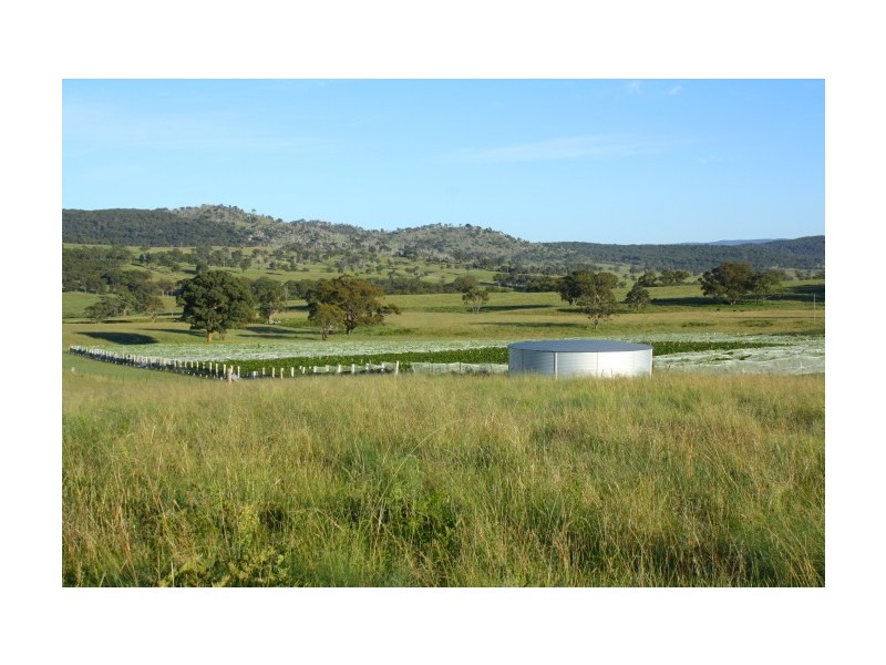 Tenterfield NSW 2372