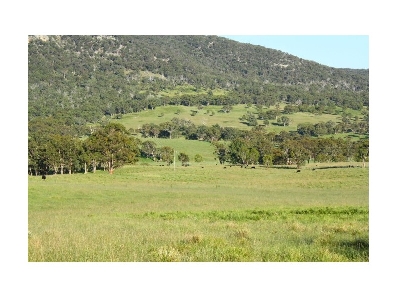 Tenterfield NSW 2372