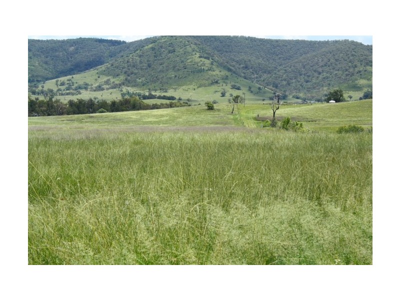 Tenterfield NSW 2372