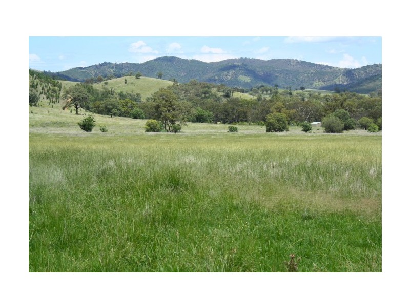 Tenterfield NSW 2372