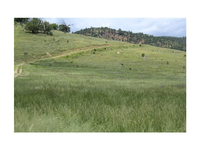 Tenterfield NSW 2372