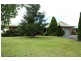 Tenterfield NSW 2372