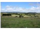 Tenterfield NSW 2372