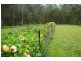 Tenterfield NSW 2372