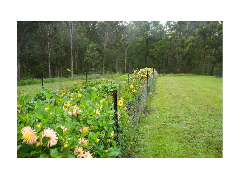Tenterfield NSW 2372