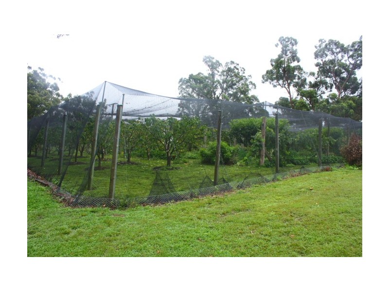 Tenterfield NSW 2372