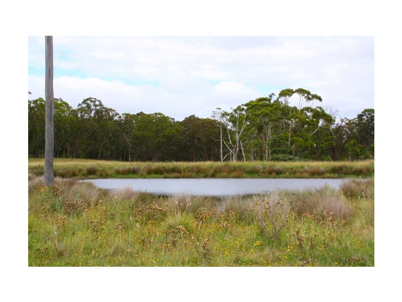 Tenterfield NSW 2372